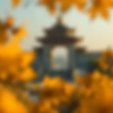 Magnificent ë§€í± ê°ê²© ë¶ì ë° ì ë§ Magnificent ë§€í± ê°ê²© ë¶ì ë° ì ë§