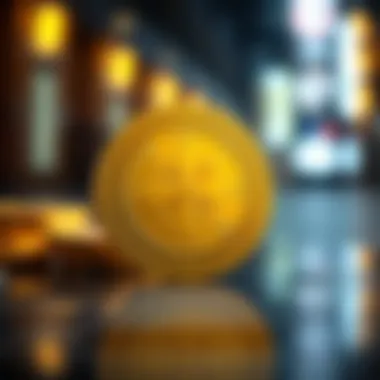 Magnificent Toko Coin에 대한 포괄적인 탐구 Magnificent Toko Coin에 대한 포괄적인 탐구