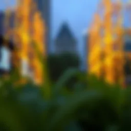 API 연결의 모든 것 Introduction