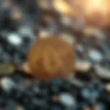 ERC20와 그 중요성: 암호화폐의 표준 이해하기 Introduction