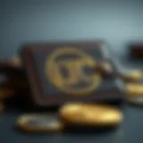 LTC Wallet: Comprehensive Overview and Insights Introduction