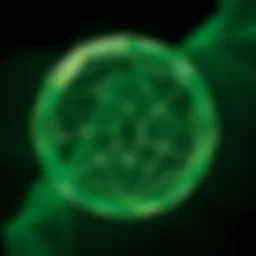 Polygon NFT: 블록체인의 새로운 차원 Introduction